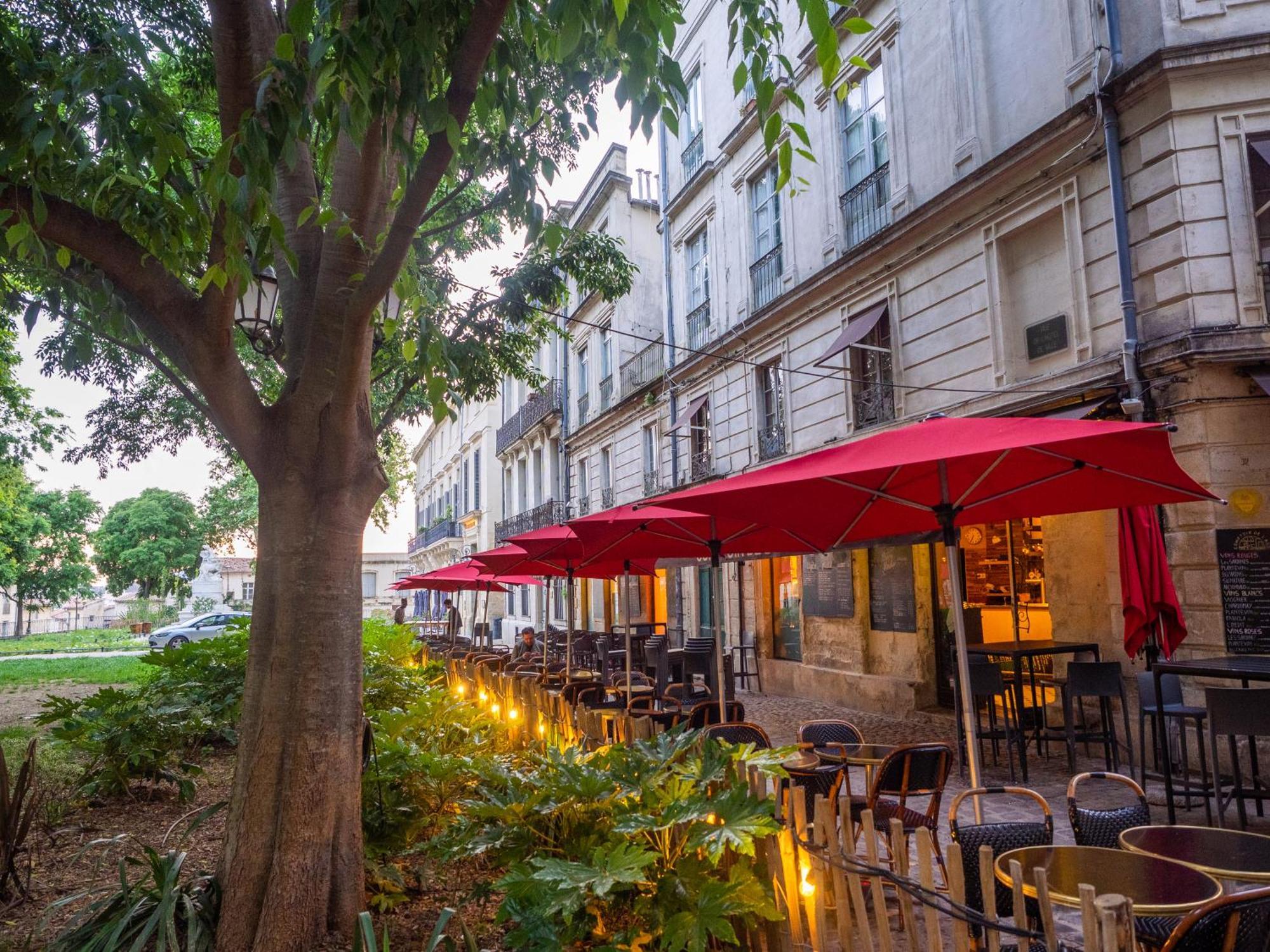 Le Platane De La Canourgue Montpellier Exterior photo